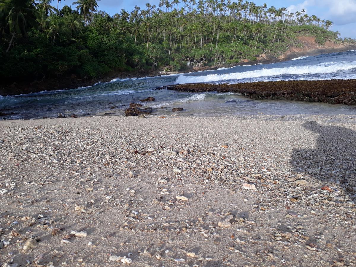 Sea Shine Beach Resort Mirissa Eksteriør bilde